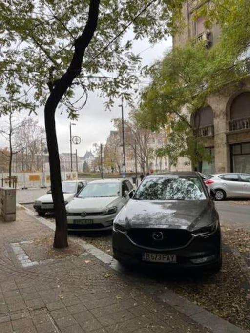 A13 Parliament Sunflower Cozy Apartment Budapeszt Zewnętrze zdjęcie