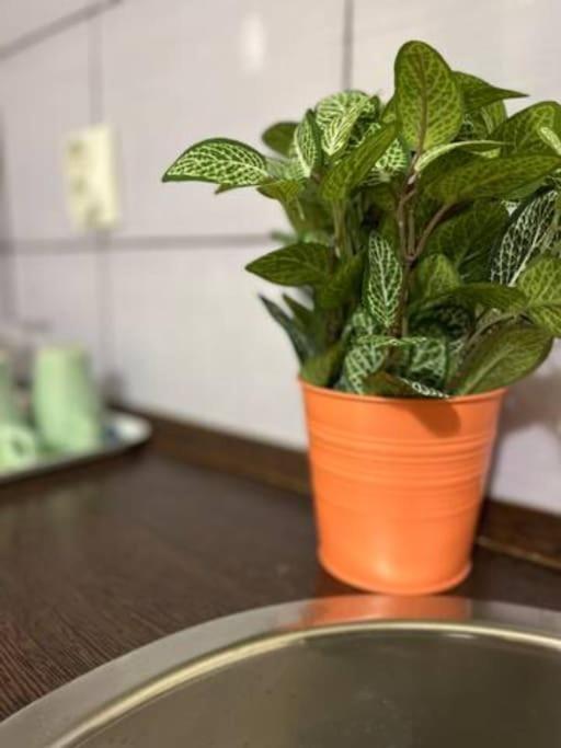 A13 Parliament Sunflower Cozy Apartment Budapeszt Zewnętrze zdjęcie